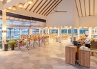 Joy Island By The Cocoon Collection