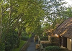 Alila Ubud