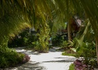 Malahini Kuda Bandos