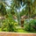 Reethi Faru Resort