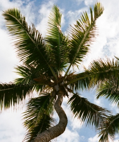 Laïla, Seychelles, A Tribute Portfolio Resort