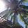 Silver Beach Hotel