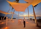 Joy Island By The Cocoon Collection