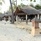 Palm Beach Resort & Spa Maldives