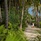 Emerald Faarufushi Resort & Spa