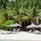 Gangehi Island Resort