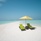Dhigufaru Island Resort
