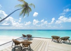 Malahini Kuda Bandos