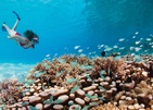 Four Seasons Resort Maldives At Kuda Huraa Сноркелинг В Отеле