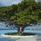 Dusit Thani Maldives