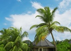 Kuredu Island