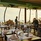 Riu Palace Maldivas