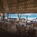 Emerald Maldives Resort & Spa