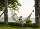 The Shellsea Krabi