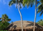 Niva Kuramathi Maldives