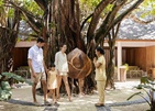 Machchafushi Island Resort & Spa Maldives, The Centara Collection (Ex.Centara Grand)