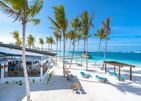 Joy Island By The Cocoon Collection