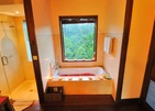 Nandini Bali Jungle Resort & Spa Ubud