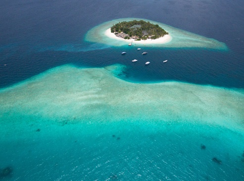 Malahini Kuda Bandos