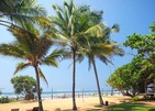 Siddhalepa Ayurvedha Health Resort