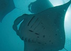 Four Seasons Resort Maldives At Landaa Giraavaru