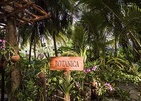 One&Only Reethi Rah