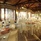 Veranda Grand Baie Hotel & Spa