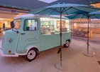 Joy Island By The Cocoon Collection
