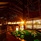 Lux South Ari Atoll Resort & Villas