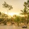 Baba Beach Club