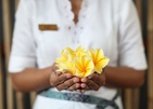 Alaya Resort Ubud