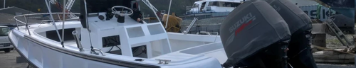 Катер Boston Whaller 24