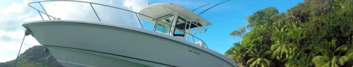 Катер Boston Whaller 320