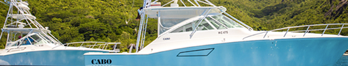 Катер Cabo Express 45