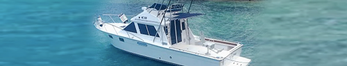 Катер Yamaha 35